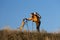 Happy smiling woman hiking in mountains with dog