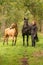 Happy smiling woman next to her horse and foal in the forest. Autumn colors