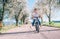 Happy smiling woman rides a bicycle on the country road under the apple blossom trees