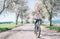 Happy smiling woman rides a bicycle on the country road under blossom trees. Spring is comming concept image