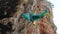 happy smiling woman rock climber hangs on rope on top of hard route, enjoying successful ascent