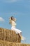 Happy smiling young woman resting on haystack. Countryside weekend. Harvesting. Blue sky. Summer day