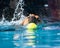 Happy soaked doggy, Golden Retriever, splashing to retrieve yellow ball in blue water pool