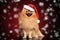 Happy Spitz sitting in Santa hat on red background