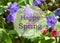 Happy Spring greeting card with beautiful first spring flowers Pulmonaria officinalis on the background.
