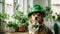 Happy St. Patrick's Day. Puppy with a bright green leprechaun hat