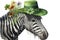Happy St. Patrick\\\'s Day Zebra with Lucky Clover Hat and Flowers Watercolor Art. Perfect for Greeting Cards and Invitations.
