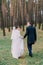 Happy stylish newlywed pair walking in the young pine forest. Back view