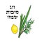 Happy Sukkot background