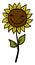 Happy sunflower, illustration, vector