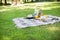 Happy sunny day at a picnic in the park. Flowers, fruits, drinks, a hat, a basket and a blanket. Copy space