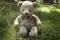 Happy teddy bear sitting in the grass