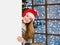 Happy teen girl in christmas hat peeking above white banner. Space for text