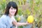 Happy Thai girl in melon garden