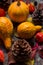 Happy Thanksgiving Background. Selection of various pumpkins on dark background. Autumn Harvest and Holiday still life.