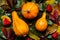 Happy Thanksgiving Background. Selection of various pumpkins on dark metal background. Autumn Harvest and Holiday still life.