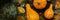Happy Thanksgiving Banner. Selection of various pumpkins on dark metal background. Autumn Harvest and Holiday still life.