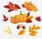 Happy Thanksgiving celebration background. Pumpkin, leaves, Rowan Berries, acorns.