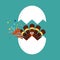 Happy thanksgiving celebration icon. Thanksgiving turkey cartoon in cracked egg with with confetti popper