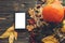 Happy Thanksgiving concept. Phone with empty screen and beautiful Pumpkin with bright autumn leaves, acorns, nuts, berries on woo