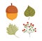 Happy thanksgiving day, autumn acorn leaf foliage icons