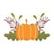 Happy thanksgiving day, pumpkin leaf foliage nature celebration