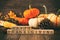 Happy Thanksgiving greeting against rustic wood with pumpkins and autumn decor. Vintage style.