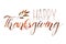 Happy Thanksgiving. Hand written lettering. Phrase isolated white background. Fall calligraphy