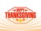 Happy thanksgiving stamp illustration sign