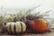 Happy Thanksgiving. Stylish pumpkins and autumn heather on rustic old wooden background at window in light. Fall rural composition