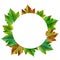 Happy Thanksgiving with text greeting and autumn leaves .Photo of Grapes green leaves wreath