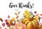 Happy Thanksgiving Vector floral watercolor style hand drawn Greeting card design: Autumn season Pumpkin pink ranunculus flower c
