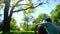 A happy thoughtful dreamer man walking in garden and sitting down on green grass in a park at sunny summer day.