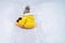 Happy toddler baby rides on an ice sled in the snow in a yellow snowsu