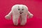 Happy tooth figurine on a red background