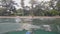 Happy tourist man swims and dives in ocean at tropical island on vacation.