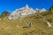 Happy tourist trekker girl in Dolomites mountains in autumn