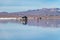 Happy tourists enjoy Jeep tour activities in Salt flat Lake Salar de Uyuni in Bolivia