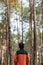 Happy traveler man standing and looking Pine tree forest, solo tourist in orange sweater traveling at Pang Oung, Mae Hong Son,