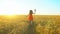 Happy traveler young hispanic beautiful woman running on wheat field in sunset summer. Freedom health happiness tourism