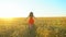 Happy traveler young hispanic beautiful woman running on wheat field in sunset summer. Freedom health happiness tourism