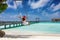 Happy traveller woman with santa claus hat sits on a swing on a tropical beach