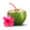 Happy Tropical Drink Concept