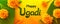 Happy Ugadi on yellow background with marigold flowers and mango leaves. Indian hindu holidays