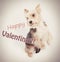 Happy valentine dog