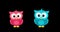 Happy Valentine`s Day. 2d cartoonish animation with pink and blue funny owls hugging.