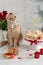 Happy Valentine`s Day greeting card, poster. Cute cat with tie bow sitting near romantic gifts. Romantic dinner concept. Be my