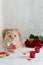 Happy Valentine`s Day greeting card, poster. Cute cat with tie bow sitting near romantic presents and red roses bouquet. Romantic