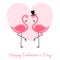 Happy Valentine`s Day Lettering illustration with Pink Flamingo. Vector isolated illustration on wight light background