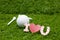 Happy Valentine`s day to golfer